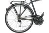 Rower trekkingowy Giant Argento 3 GTS 2020